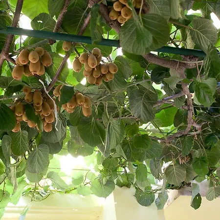 Anka Διαμέρισμα *